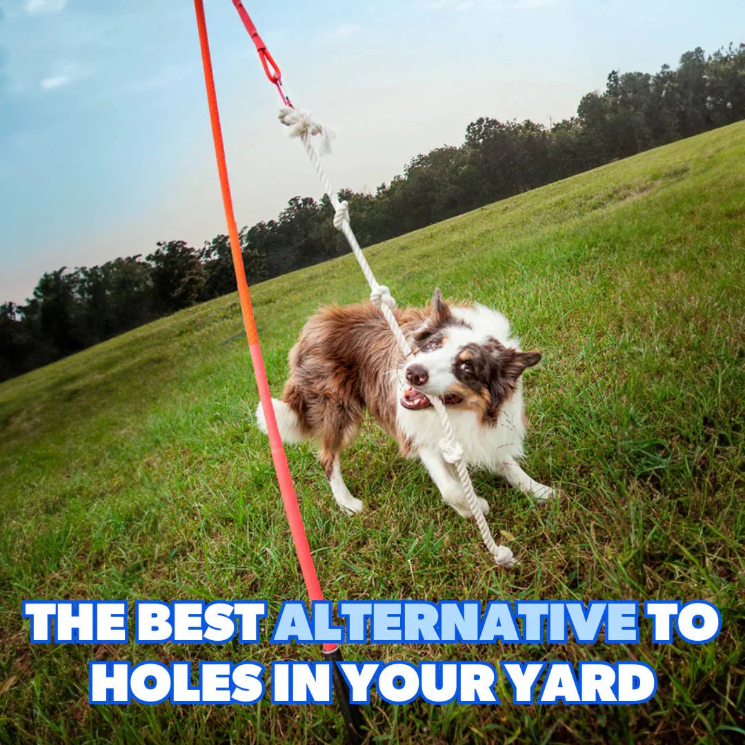 Durable Dog Tug Toy Kit for All Sizes – Solo Play & Heavy Duty Options - Paw Fit Gears