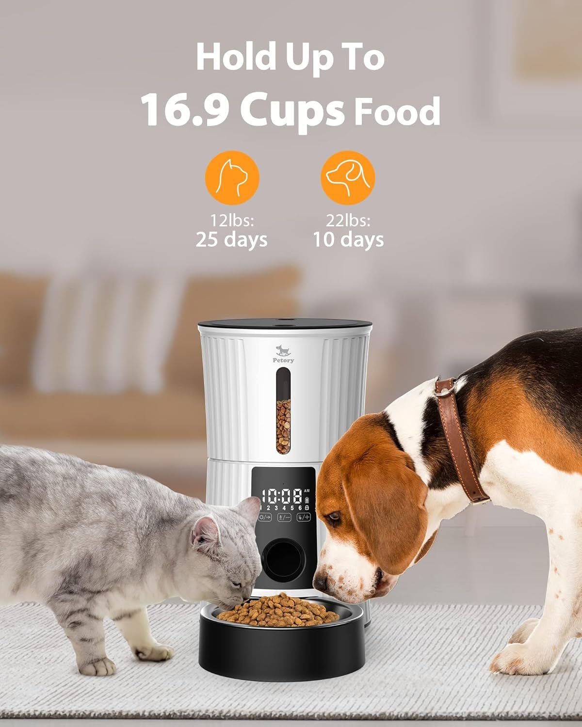 Petory Automatic Cat Feeder – 4L Timed Dispenser with Voice & Battery Backup - Paw Fit Gears