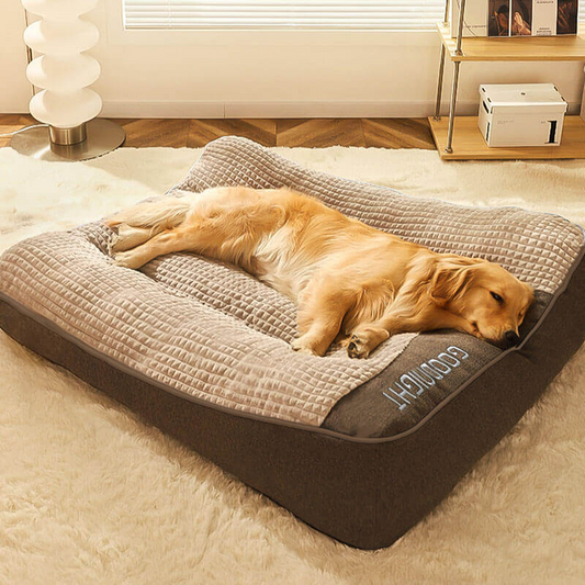 Ultra-Thick Orthopedic Dog Bed for Large Dogs